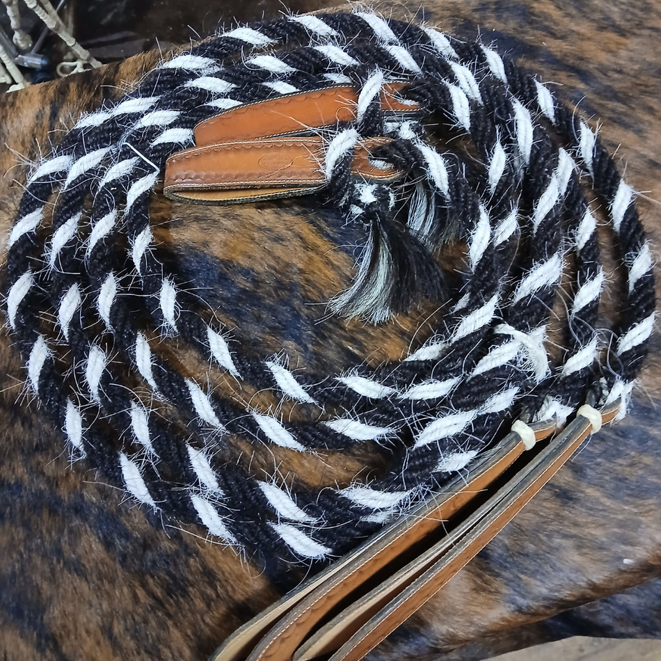 Reins