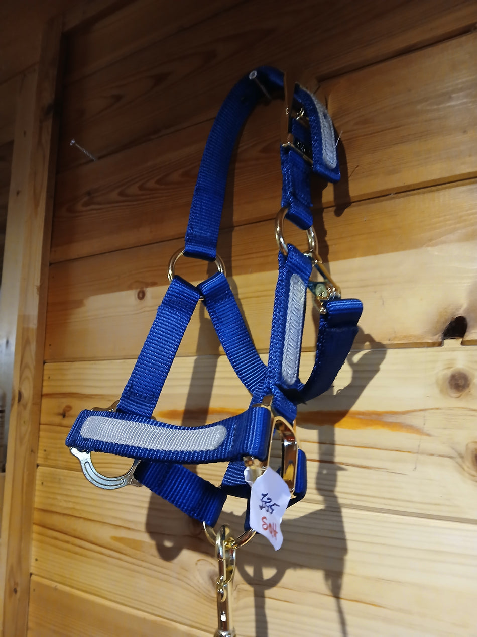 Dark Blue Foal Headcollar and Lead Rope Set