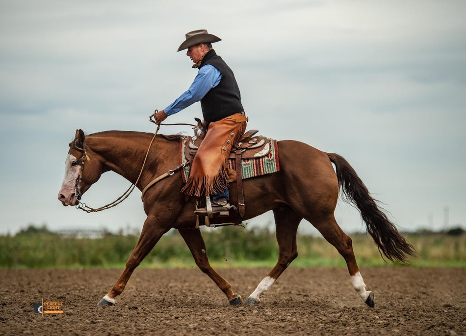 Ranch Riding Clinic - Saturday 22nd February 2025