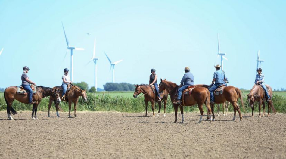 Summer Camp 2026 11th - 13th of June