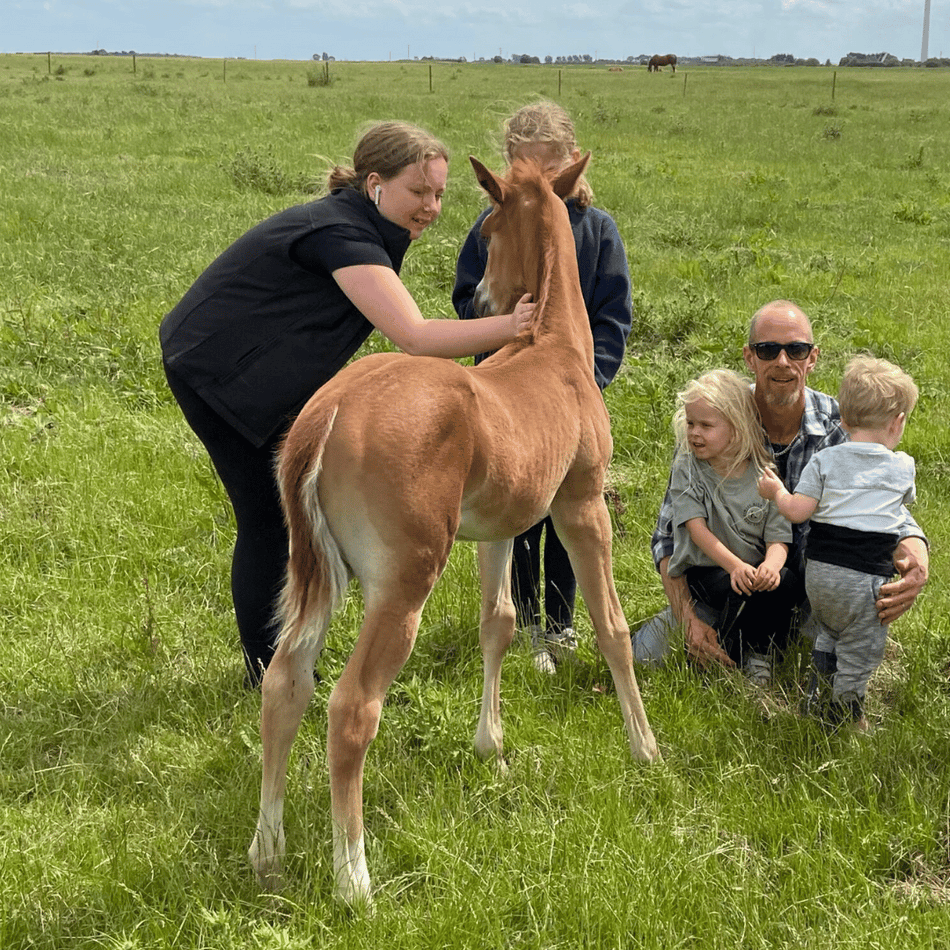 Afternoon Tea with the Foals – Friday 25th July 2025