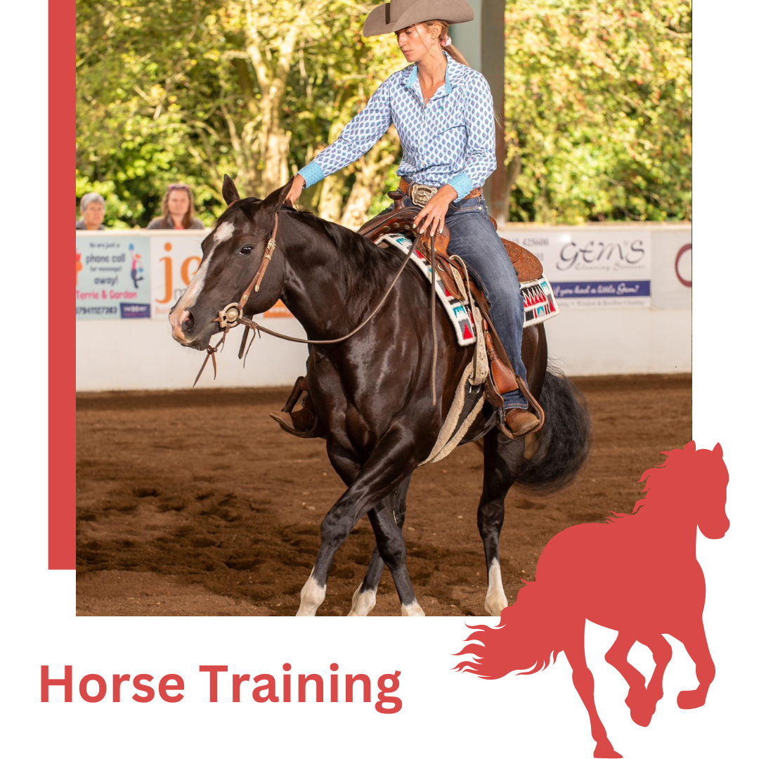 Western Riding Events Sovereign Quarter Horses | Western Riding, Events & Venue Hire
