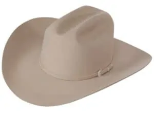 Greeley Beaver 20 hat