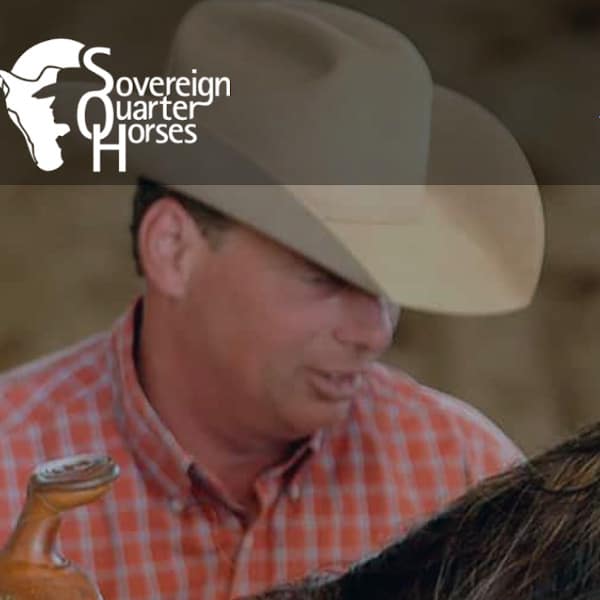 Sovereign Quarter Horses Logo 2021 fronting their website