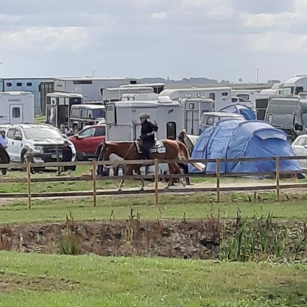 Camping at Sovereign Quarter Horses